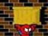 Play Sokoman 100 level game