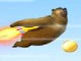 Play Bear fly fly fly