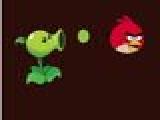 Play Angry birds vs peas