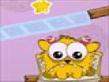 Play Willy likes cookies
