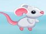 Spielen Cute rat racing