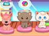 Play Pet shop management