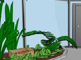 Play Botanical gardens escape