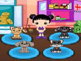 Play Lovely pets care