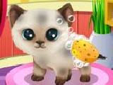 Play Paws to beauty 3 - chiots et chatons