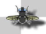 Play Go fly go