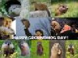 Play Puzzle the groundhog day