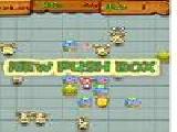 Play Pushboom