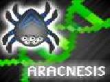 Spielen Aracnesis