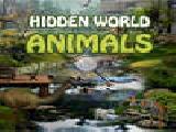 Play Hidden world animals