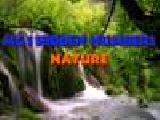 Jugar a Mg1 hidden numbers nature