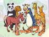 Play Animal jigsaw puzzle