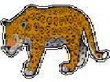 Play Jaguar jigsaw