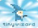 Play Tiny wizard