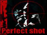 Play Perfect shot