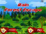 Play Rain forest escape