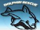 Play Dolphin rescue