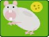 Play Feed the mouse
