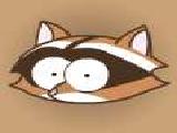Play Crazy raccoon