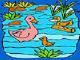 Jugar a Funny duck family in the lake coloring