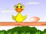 Play Duck and eggs