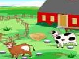 Play Ranch clean up