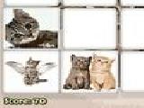 Play Cats picture memory