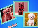 Play Cute puppies in the garden puzzle
