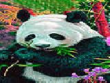 Play Hungry panda puzzle