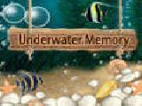 Play Underwater memory