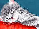 Play Little lazy cat puzzle