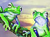 Play Baffled frogs puzzle