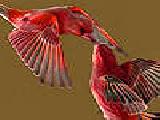 Play Flying love birds puzzle