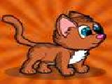 Jugar a Kitty run
