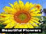 Play Beautiful flowers puzzle