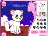 Play Persian cat