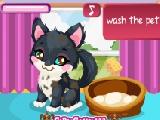 Play Kitty care 2