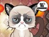 Play Grumpy cat
