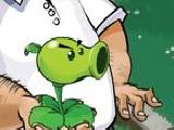 Play Plants vs zombies : réveille les plantes !