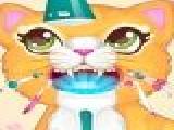 Play Precious kitty dentist