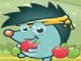 Play Hedgehogs paradise