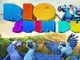 Play Rio spin puzzle