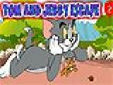 Play Tom and jerry escape 2