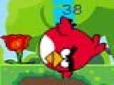 Play Angry bird forest adventure
