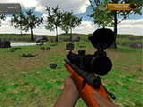 Play Animal hunter 3d