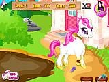 Play Cute pony care