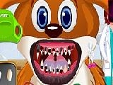 Play Animals dentist