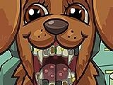 Play Pet crazy dentist