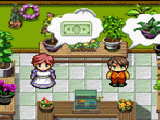 Play Idle shop 2