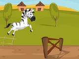 Play Racing zebra